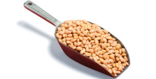 PINOLI