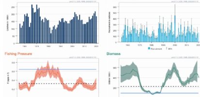 Merluzzo carbonaro (Pollachius virens): prezzi record e crisi della pesca in Norvegia
